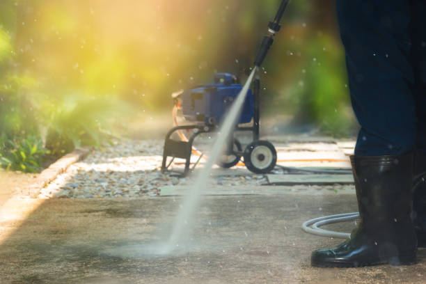 Animal Enclosure Cleaning in North Lima, OH
